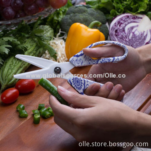 Ceramic Blade Kitchen Scissor
